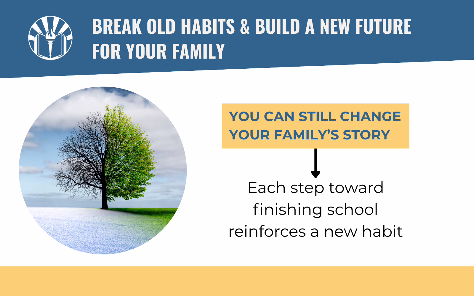 Tree transitioning from bare branches to lush green leaves, illustrating how completing school can help change a family's future and build new habits.