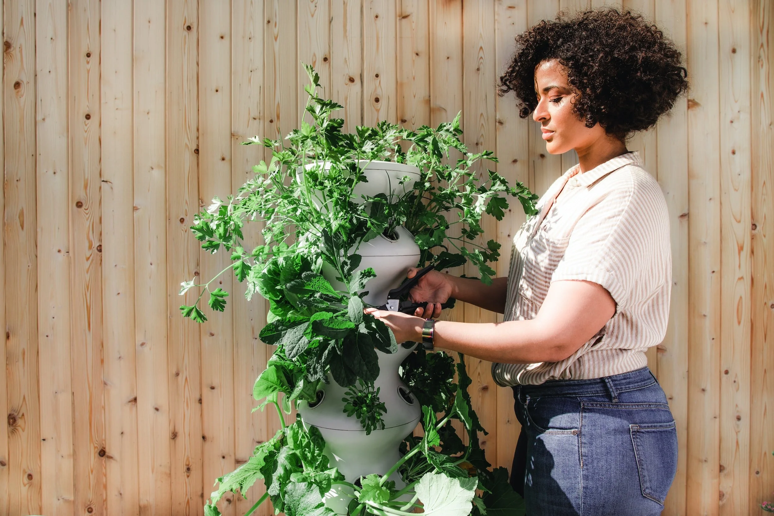 Person harvesting leafy greens from a vertical garden tower in an outdoor backyard setting.